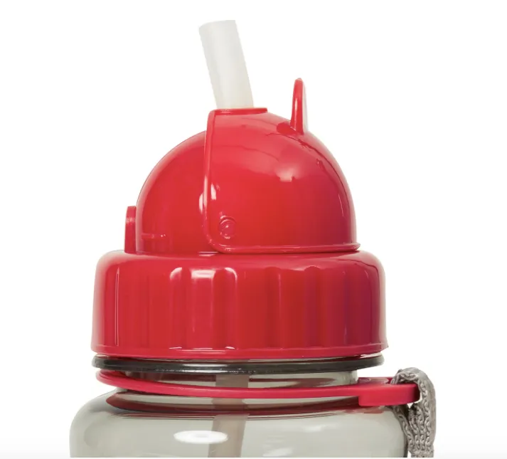 Zoo Straw Bottle Bear